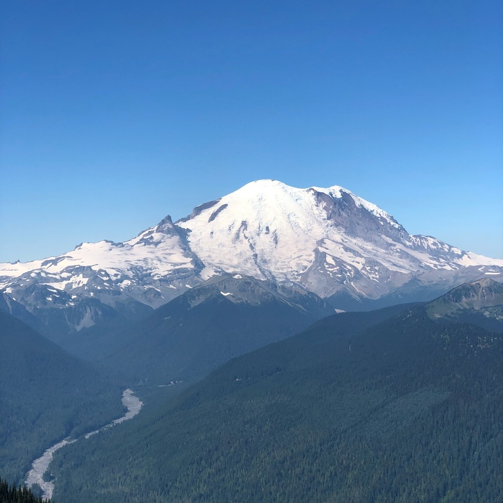 Meet your Posher, Ben